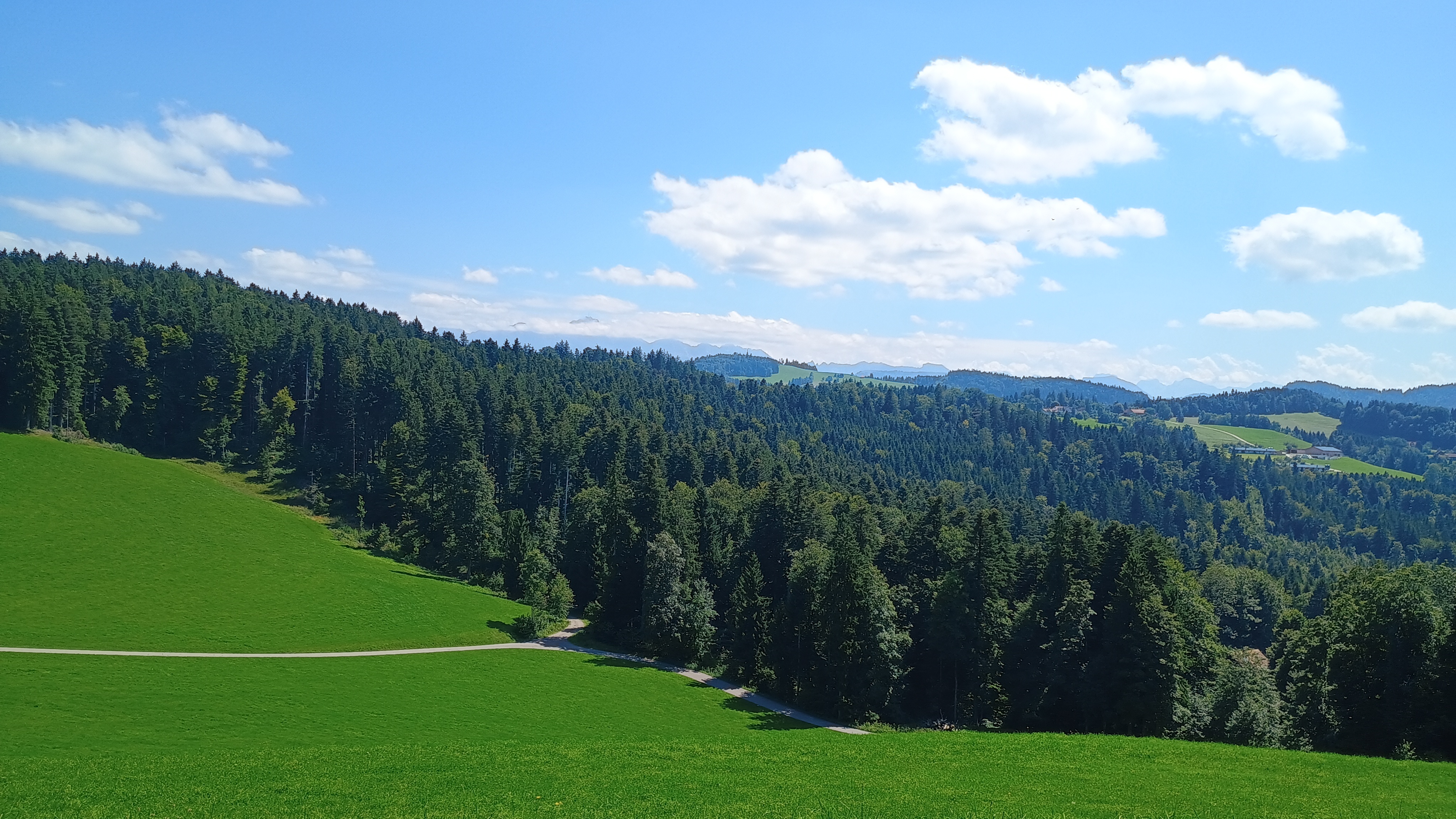 Area where my brother used to farm 